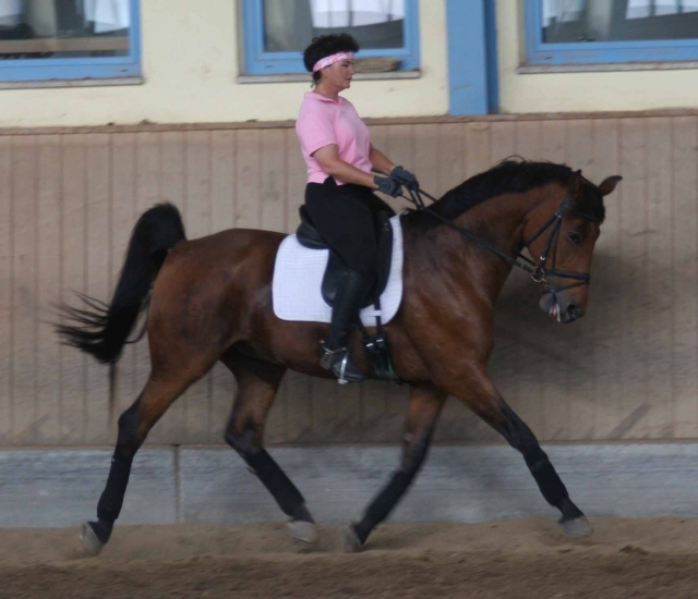 Visited my sister in Germany and took Dressage Lessons with German Olympic Trainer